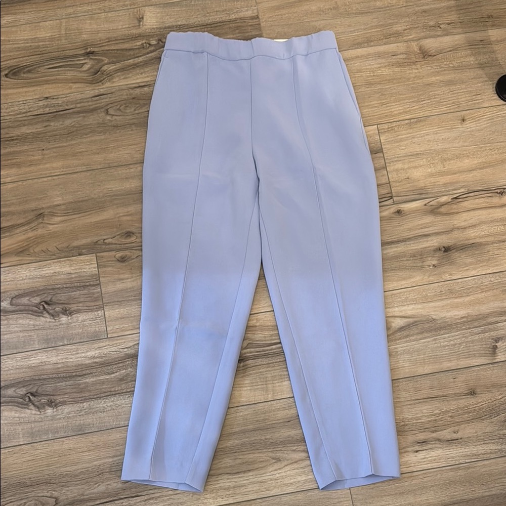 Ann Taylor Lavender High Rise The Easy Ankle Cropped Pants size LARGE